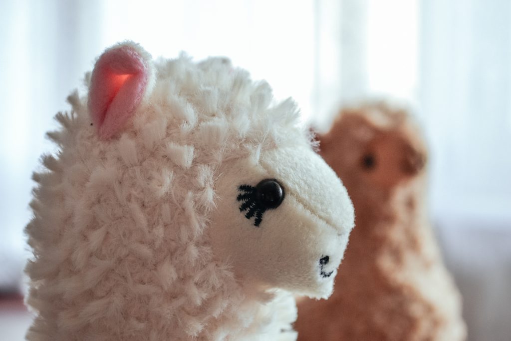 plush_alpacas_2-1024x683.jpg