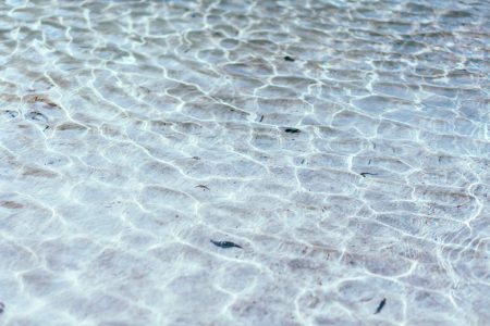 Clear water 2 - free stock photo