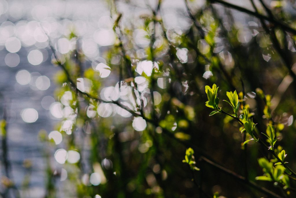 Water bokeh - free stock photo