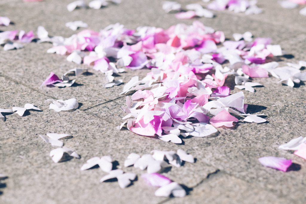 Butterfly confetti - free stock photo