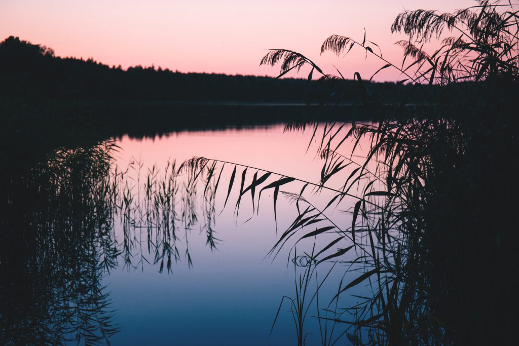 Late sunset at the lake 2 - free stock photo