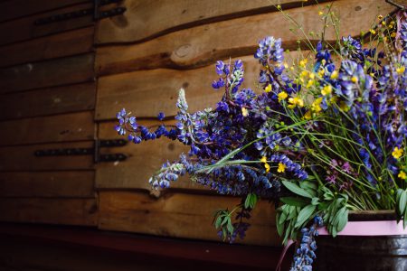 Wild lubine bouquet - free stock photo