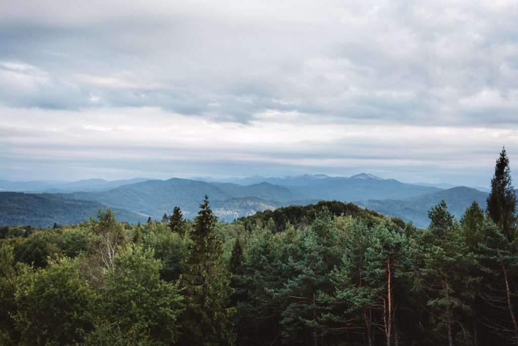 Bieszczady Mountains - free stock photo