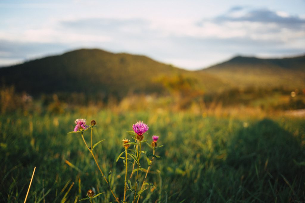 bieszczady_mountains_blurred-1024x683.jpg