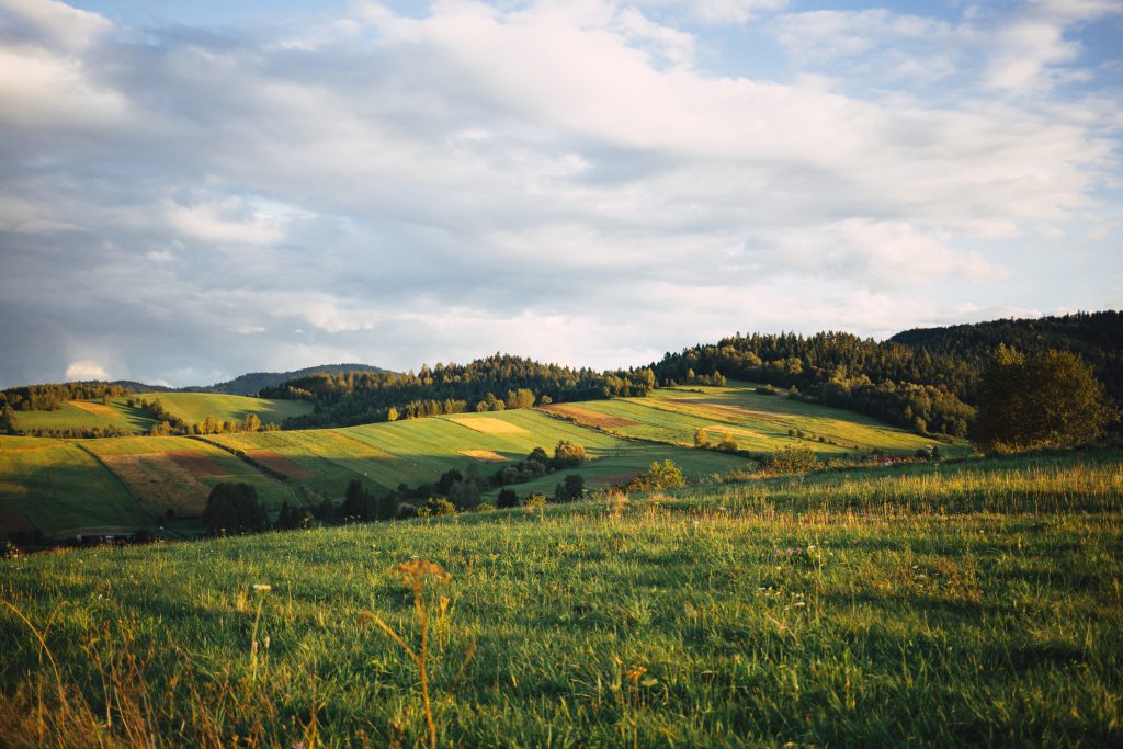 Fields in Bieszczady Mountains - free stock photo