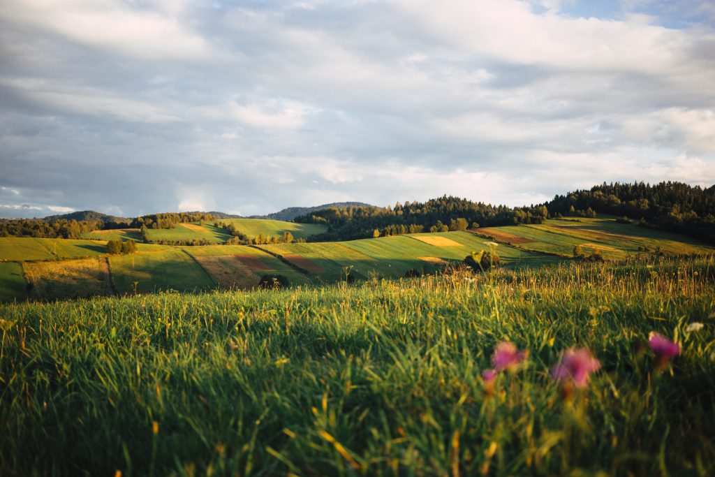 fields_in_bieszczady_mountains_2-1024x68