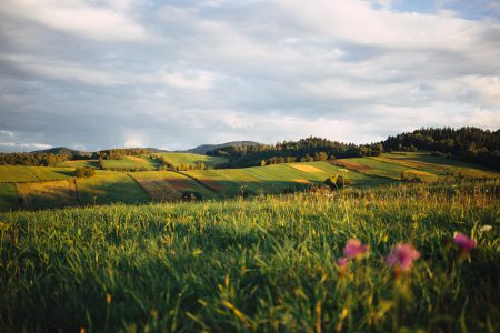 Fields in Bieszczady Mountains 2 - free stock photo