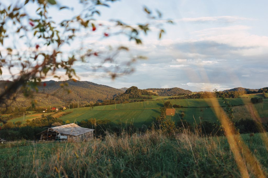 Fields in Bieszczady Mountains 3 - free stock photo