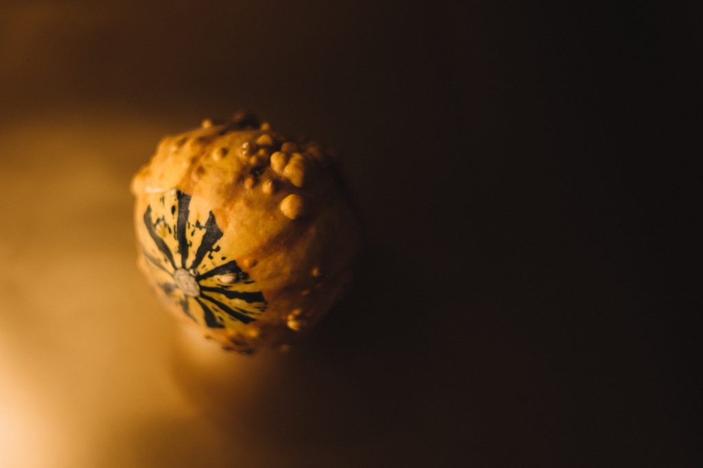 Halloween mini pumpkin - free stock photo