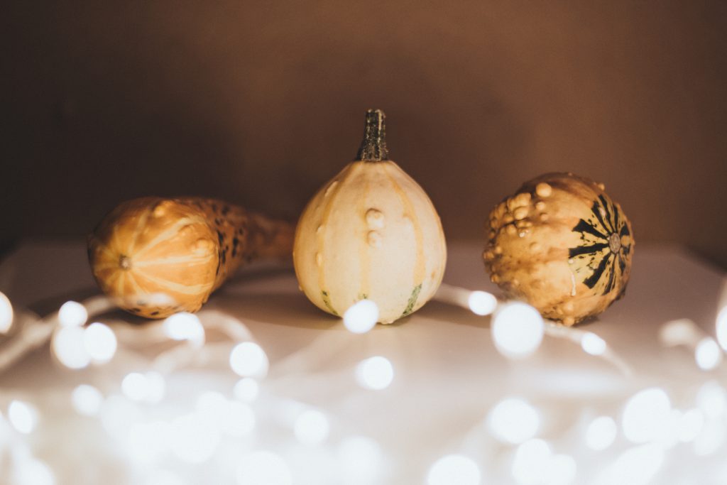 Halloween mini pumpkins - free stock photo