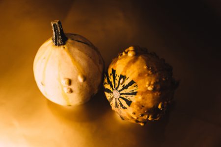 Halloween mini pumpkins 2 - free stock photo