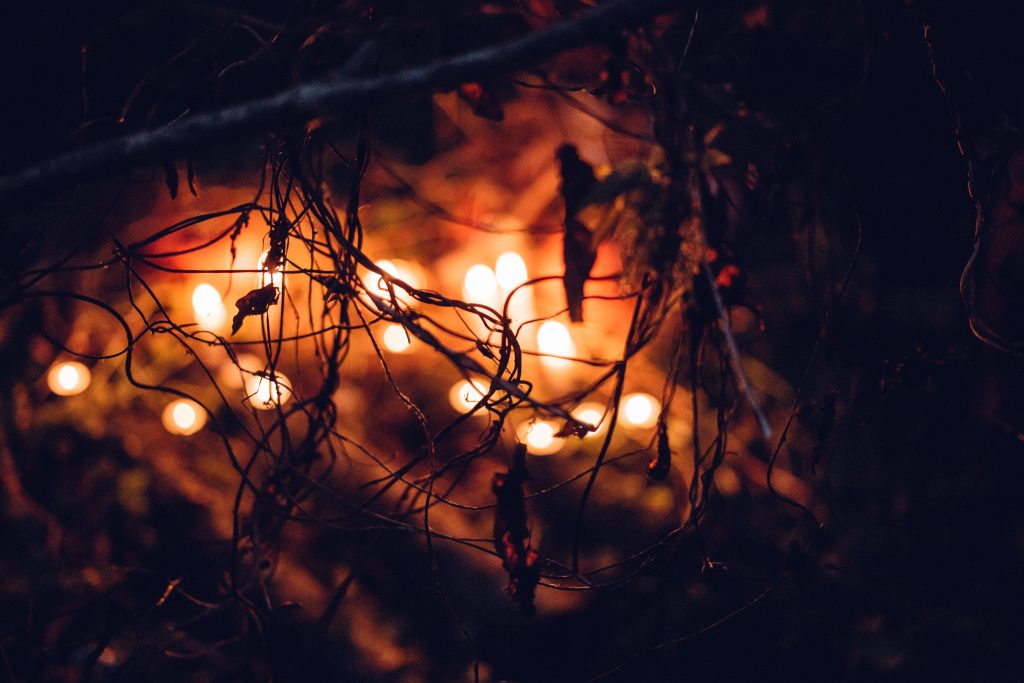 Spooky halloween decoration in the bushes - free stock photo