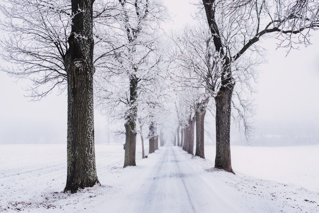 Snow covered road - free stock photo