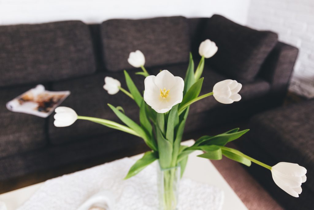 White tulips on the table - free stock photo