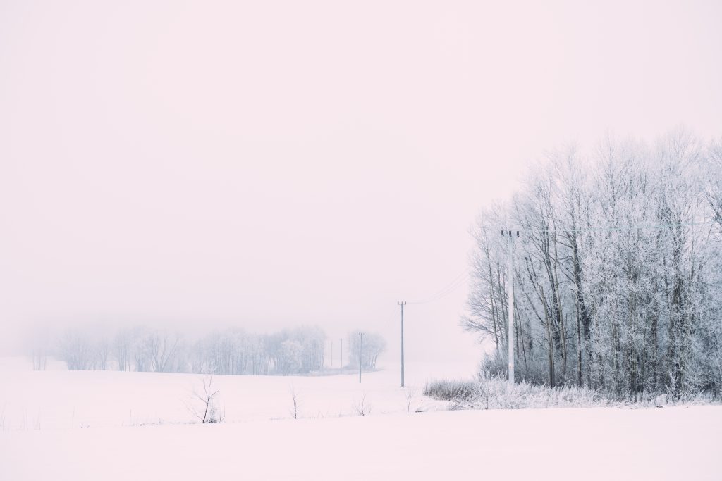 foggy_winter_day_in_the_field-1024x683.jpg