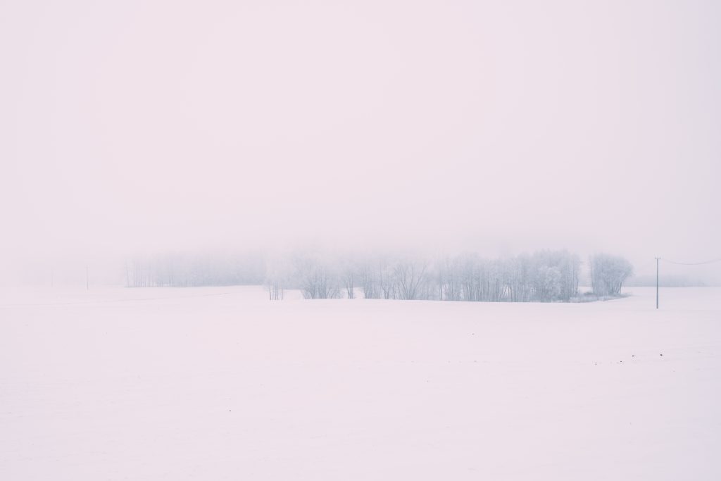 foggy_winter_day_in_the_field_2-1024x683