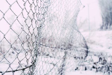 Frosted old net fence - free stock photo
