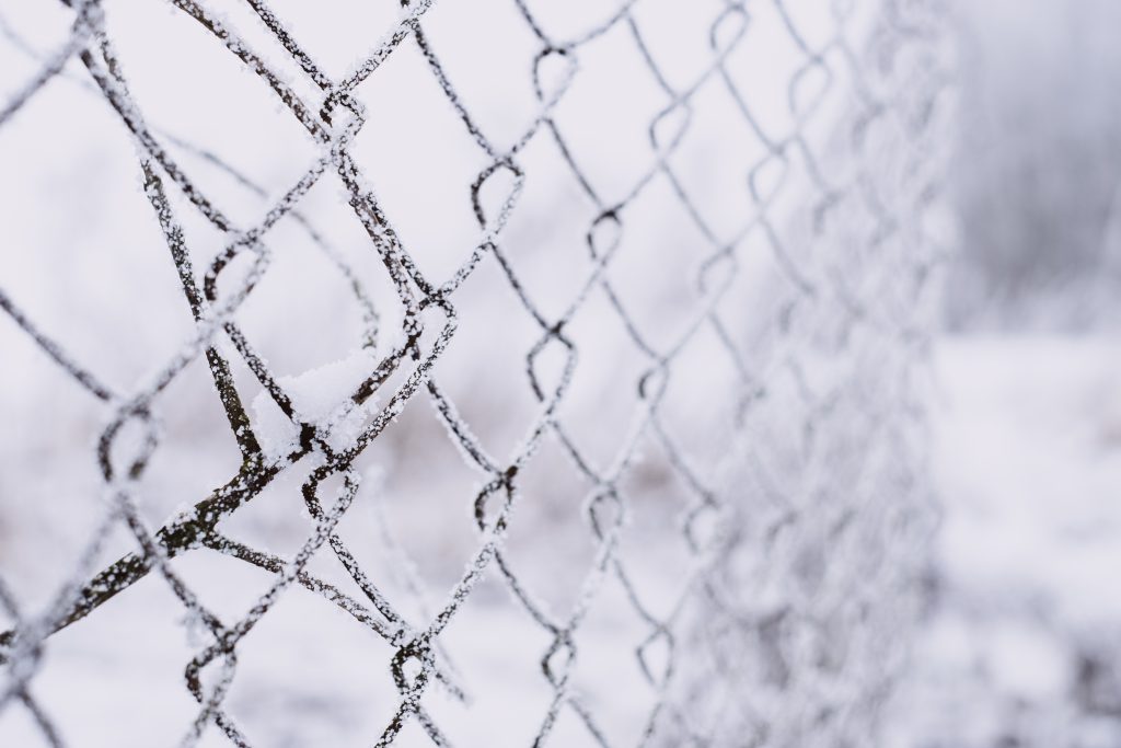 Frosted old net fence 2 - free stock photo