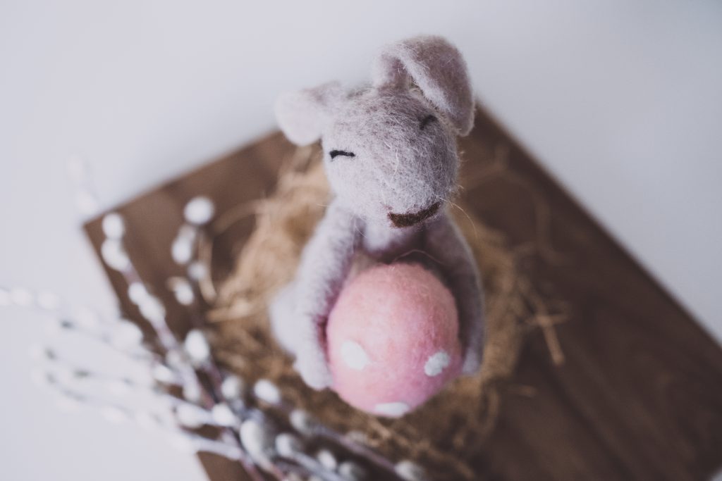 Easter bunny 3 - free stock photo