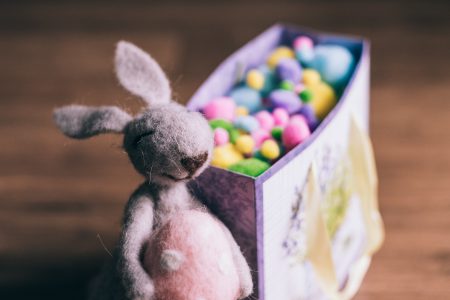 Easter bunny gift 3 - free stock photo