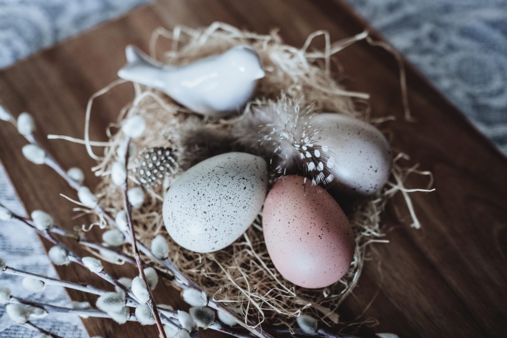 Easter eggs and ceramic bird - free stock photo