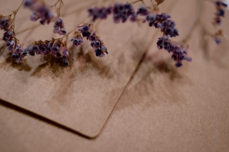 Craft envelope with dried flower closeup - free stock photo