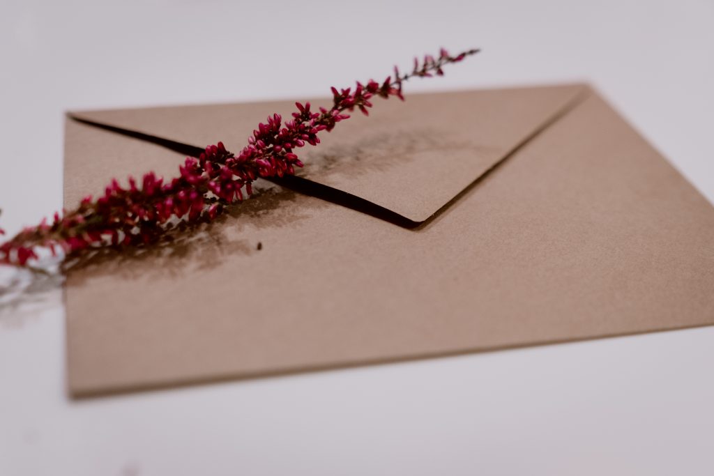 Craft envelope with dried flower - free stock photo