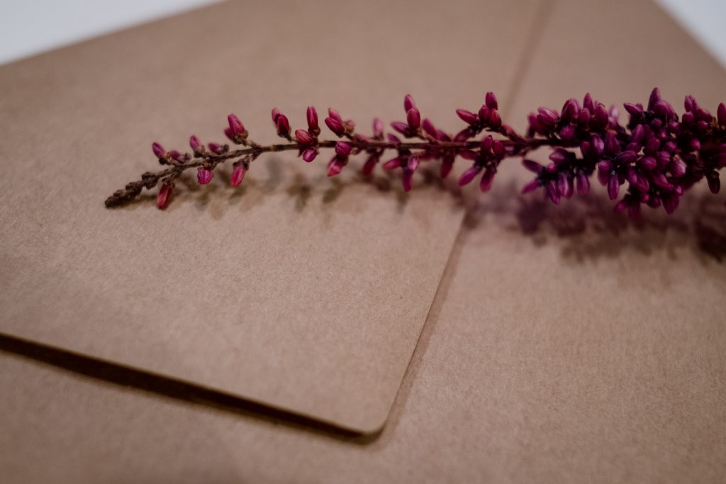 Craft envelope with dried flower closeup 2 - free stock photo