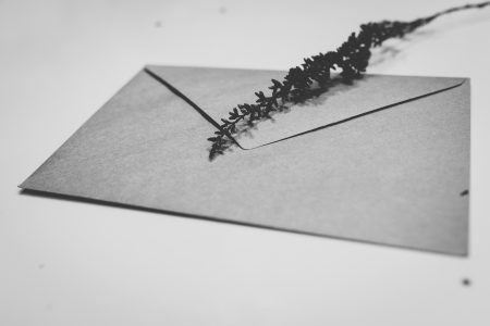 Craft envelope with dried flowers 2 - free stock photo