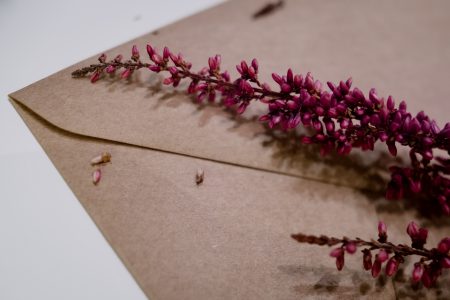 Craft envelope with dried flowers closeup - free stock photo