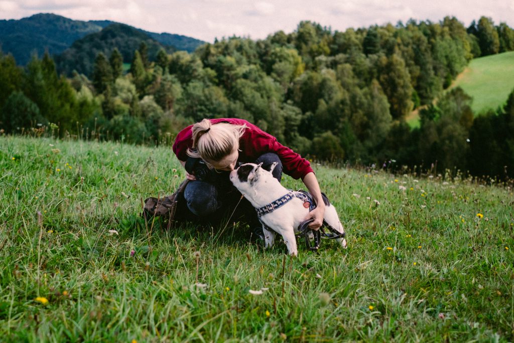 Female tourist with her dog in the mountains - free stock photo