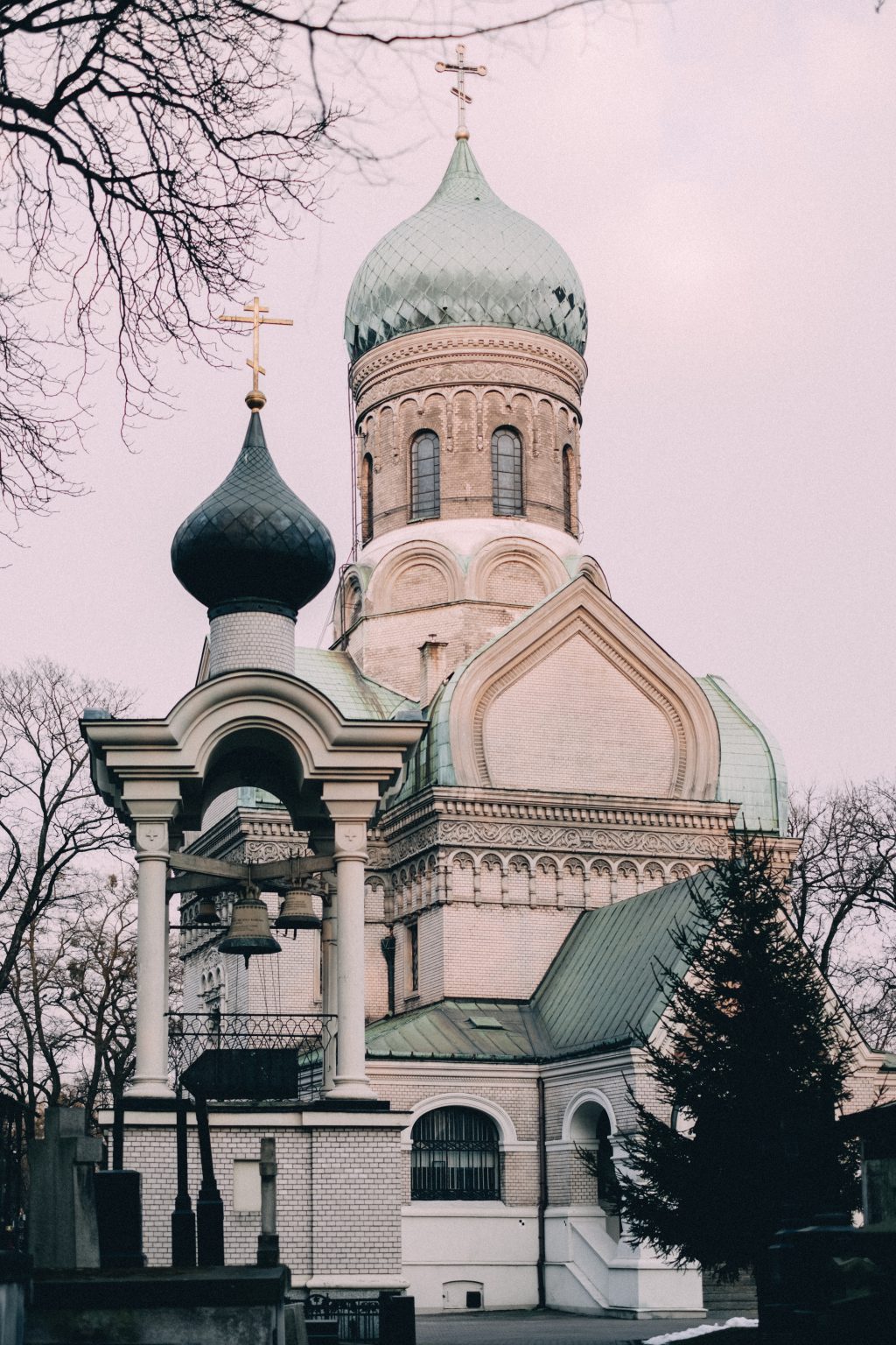 Have Questions On Minerals And Vitamins? Get Answers On This Page