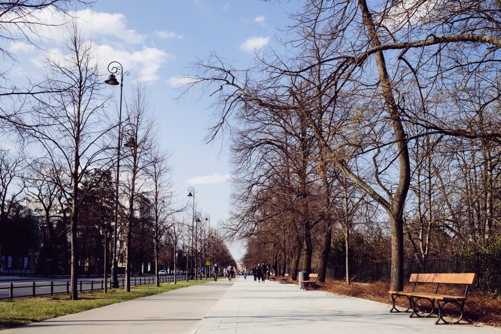 Pedestrian and cycle lanes - free stock photo