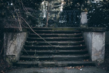 Old stairs in the park - free stock photo