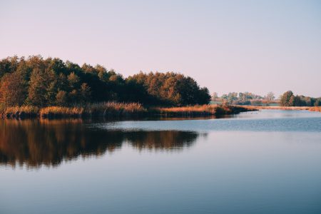 Autumn afternoon at the lake - free stock photo
