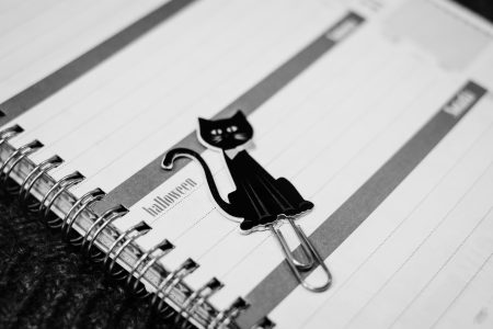 Black cat paperclip in a calendar - free stock photo
