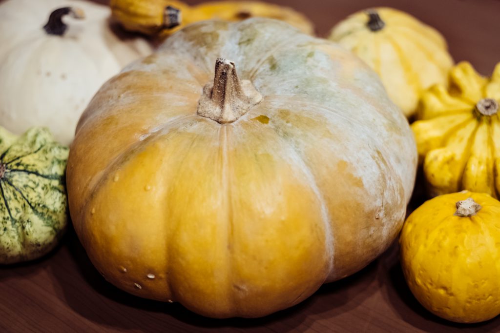 Halloween pumpkins closeup - free stock photo