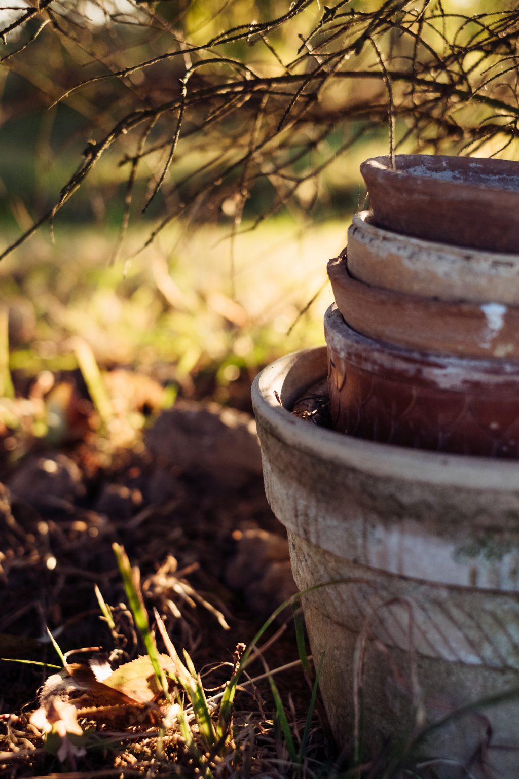 Old clay flower pots 2 - free stock photo