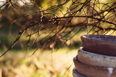 Old clay flower pots 2 - free stock photo