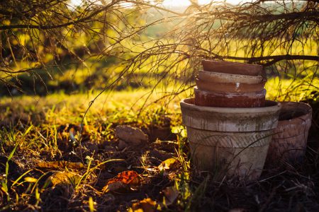 Old clay flower pots under a spruce 2 - free stock photo
