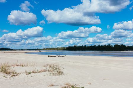 Sandy beach at the river - free stock photo