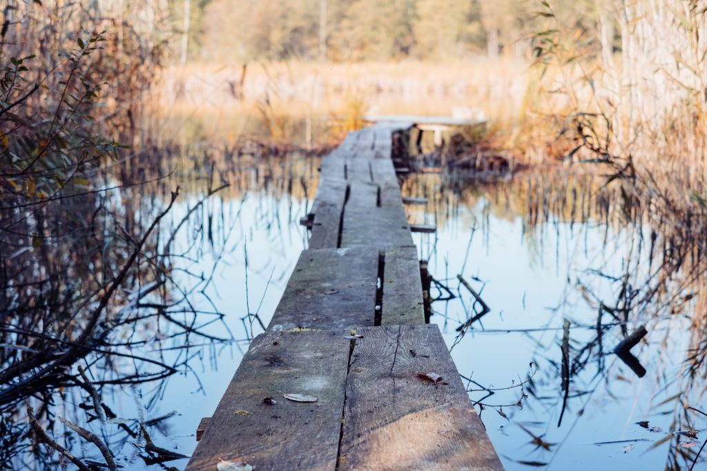 Small wooden pier at the lake - free stock photo