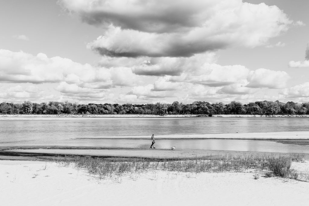 Walking with a dog at the river - free stock photo