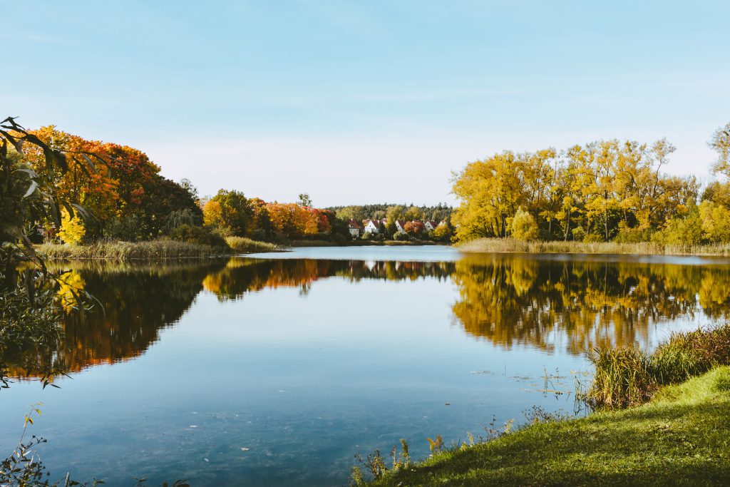 Apartment complex by the lake surrounded by forest - free stock photo