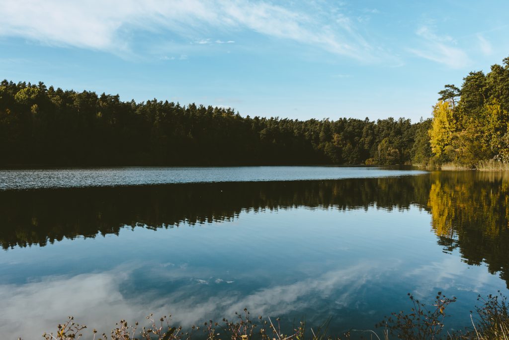 Calm lake surrounded by forest - free stock photo