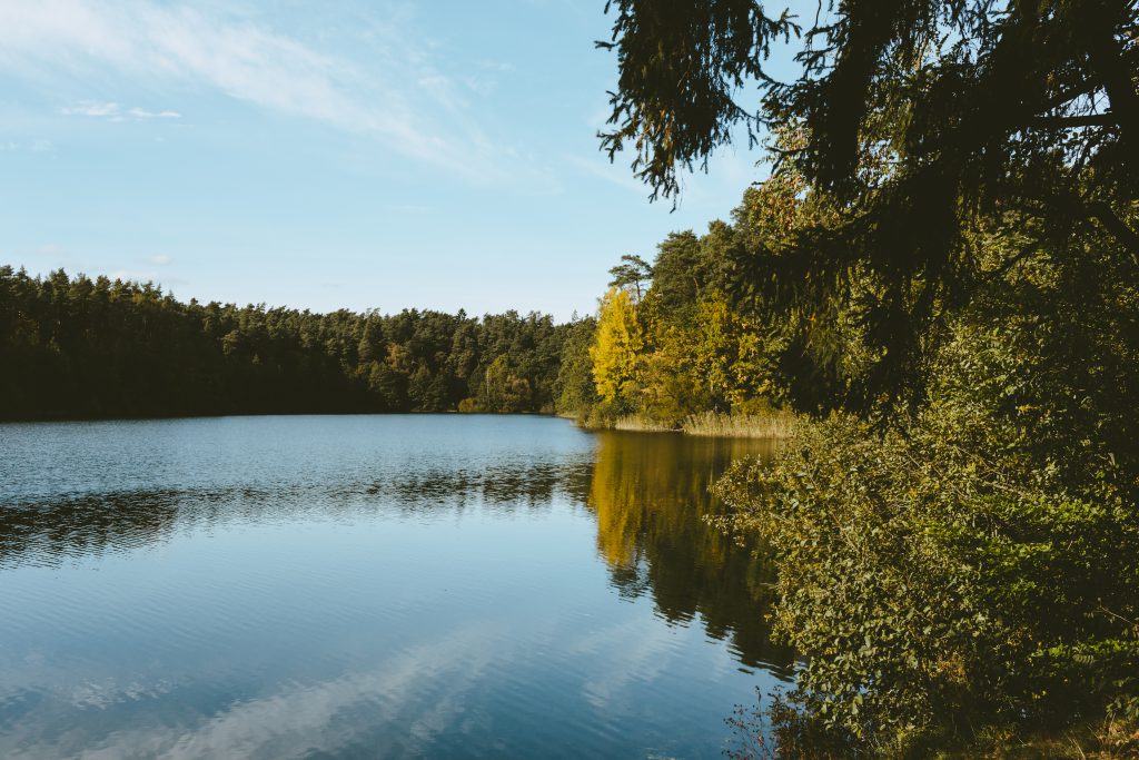 Calm lake surrounded by forest 2 - free stock photo