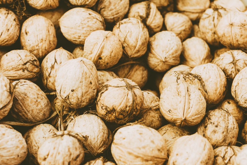 Many walnuts 2 - free stock photo