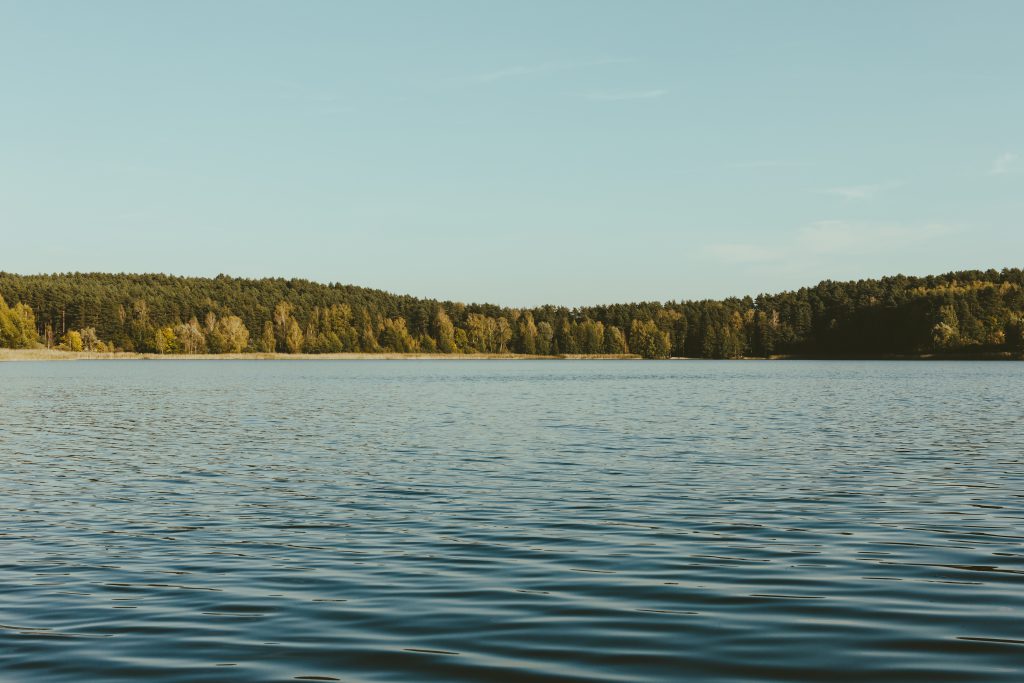 Line Of Credit Vs. Loan: Understanding The Differences