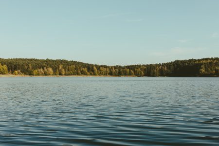 Wavy lake surrounded by forest - free stock photo