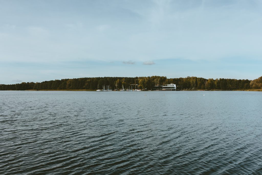 Wavy lake surrounded by forest 2 - free stock photo